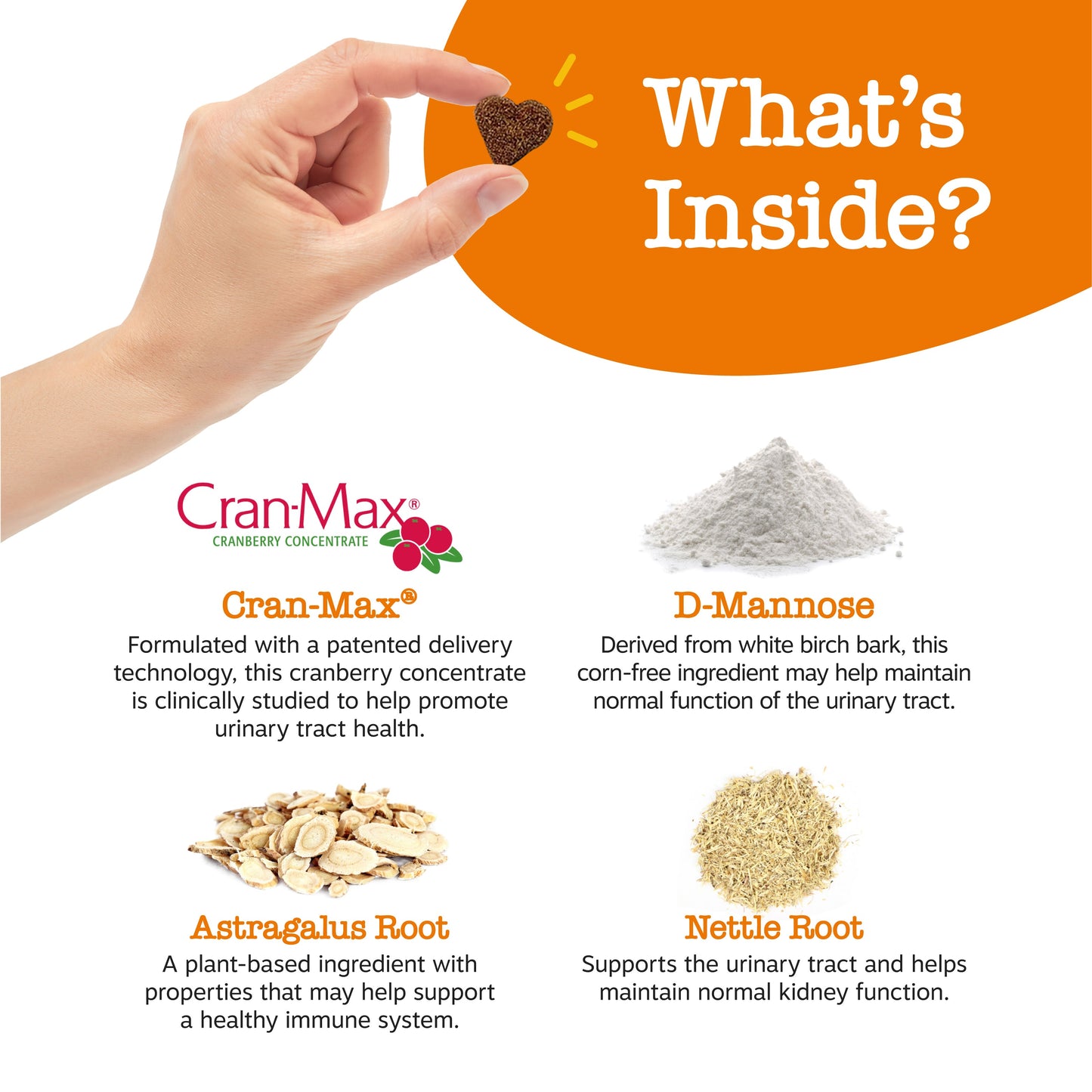 Urinary Tract Bites for Dogs