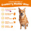 Urinary Tract Bites for Dogs