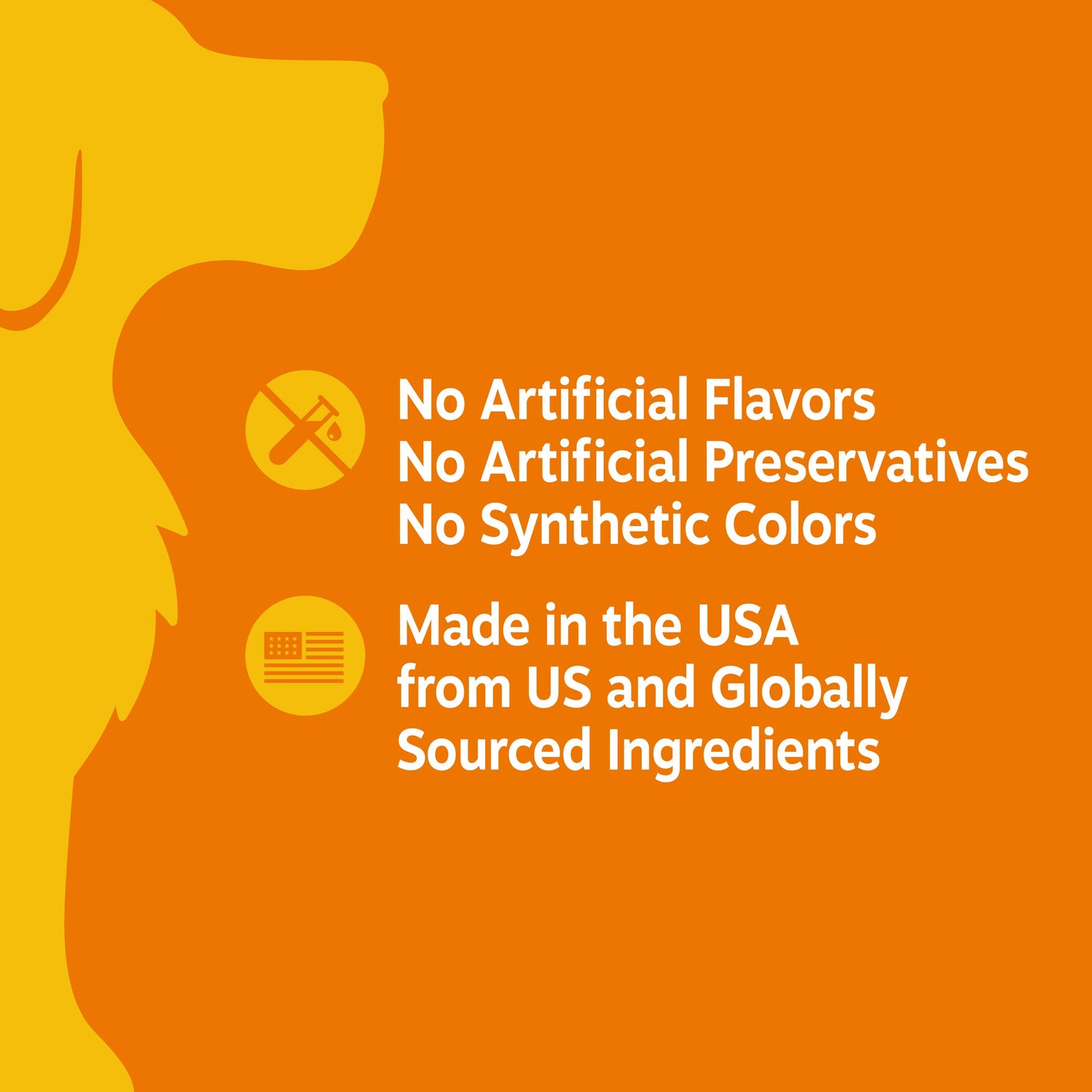 Senior Advanced Cognition Bites™ for Senior Dogs