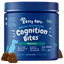 Senior Advanced Cognition Bites™ for Senior Dogs