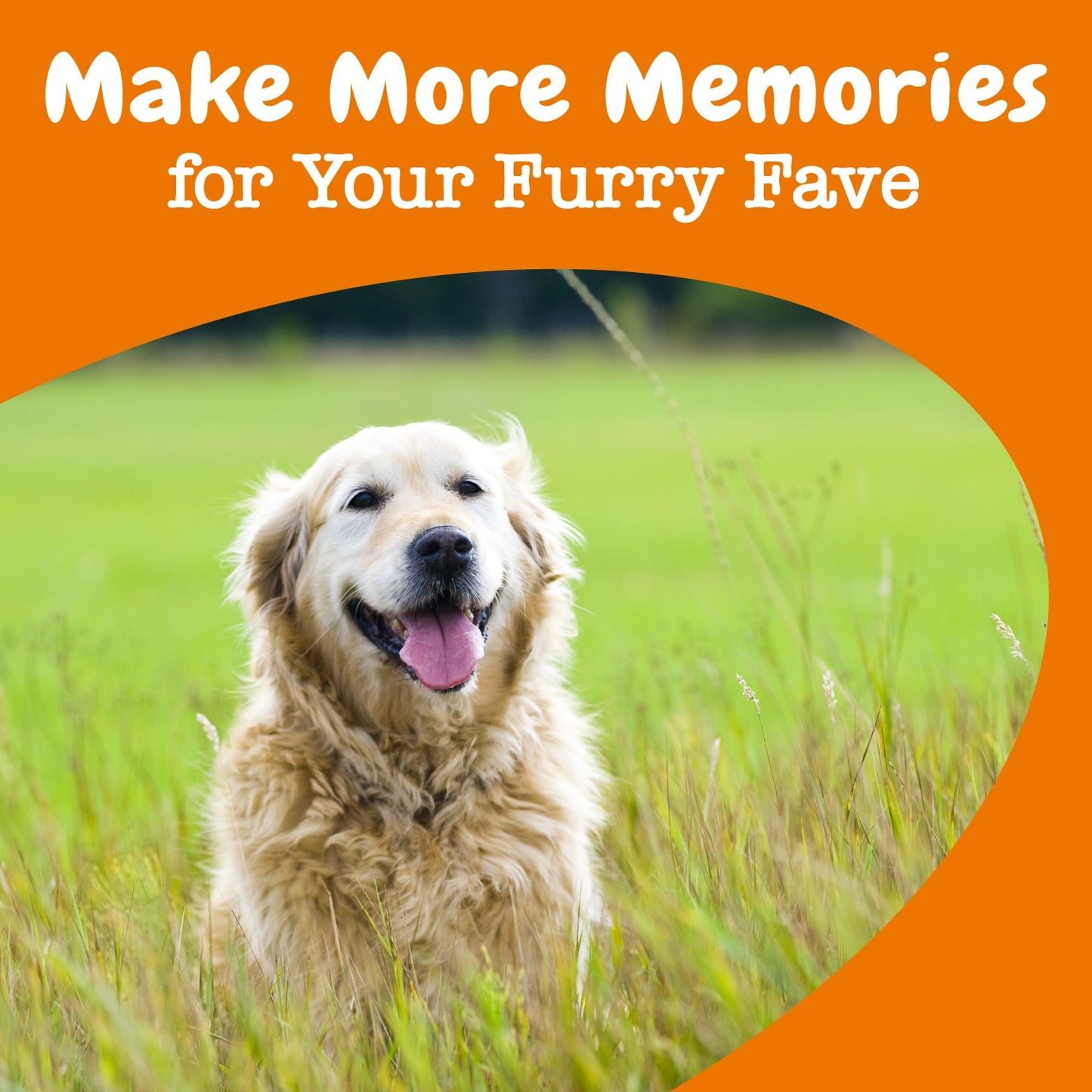 Senior Advanced Cognition Bites™ for Senior Dogs