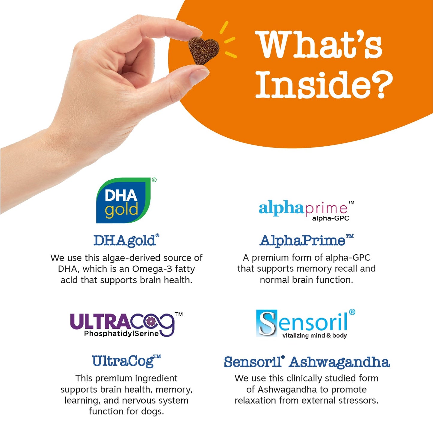 Senior Advanced Cognition Bites™ for Senior Dogs