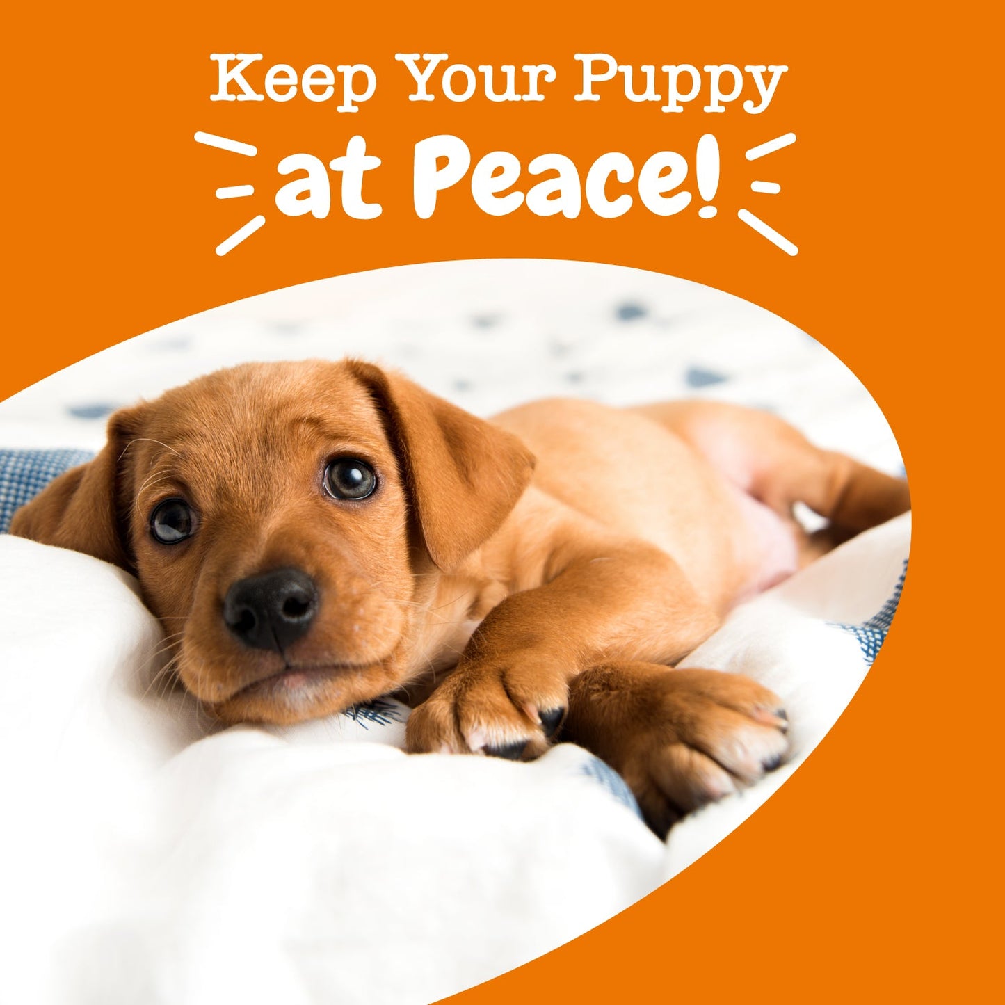 Calming Bites™ for Puppies