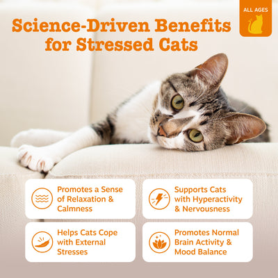 Calming Bites™ for Cats