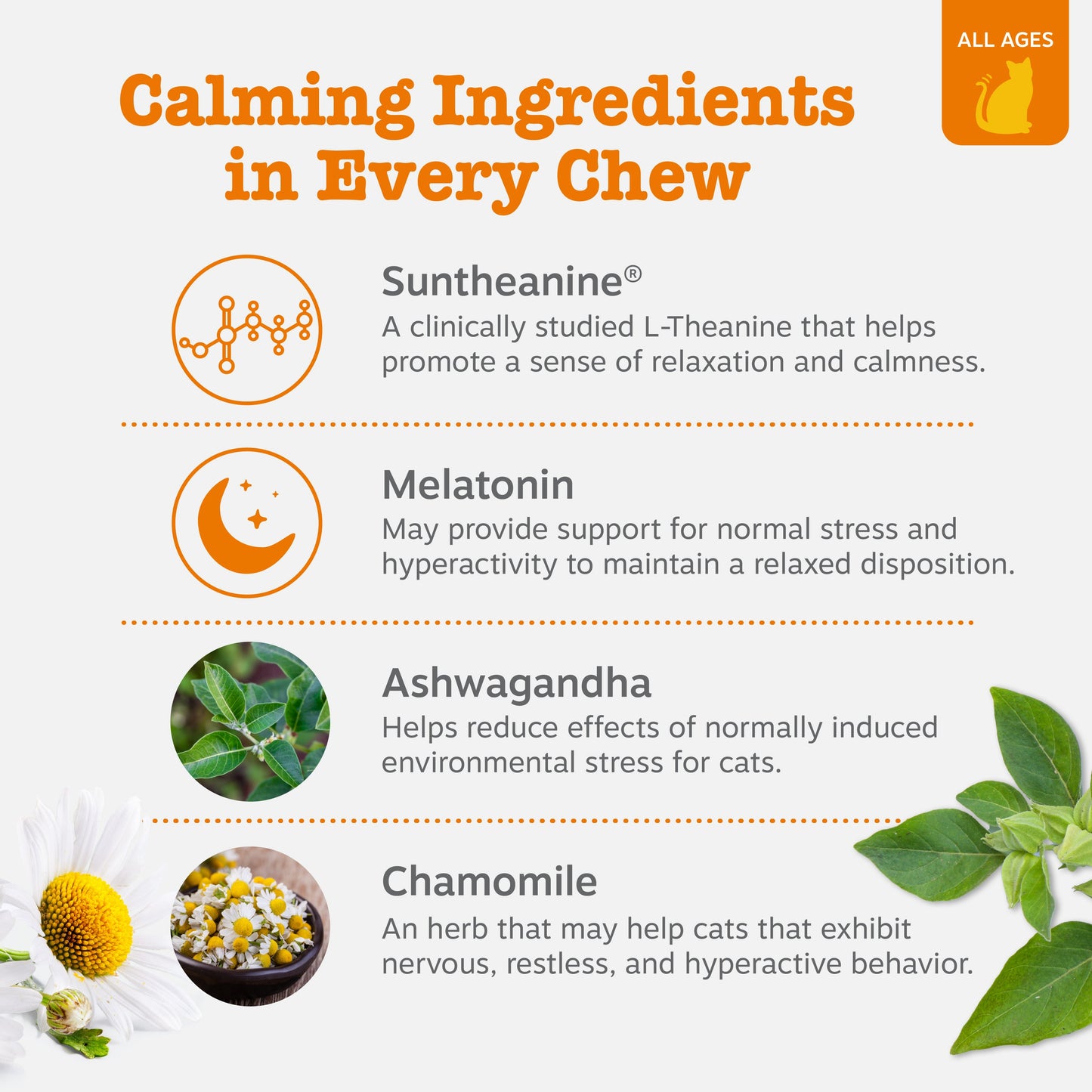 Calming Bites™ for Cats