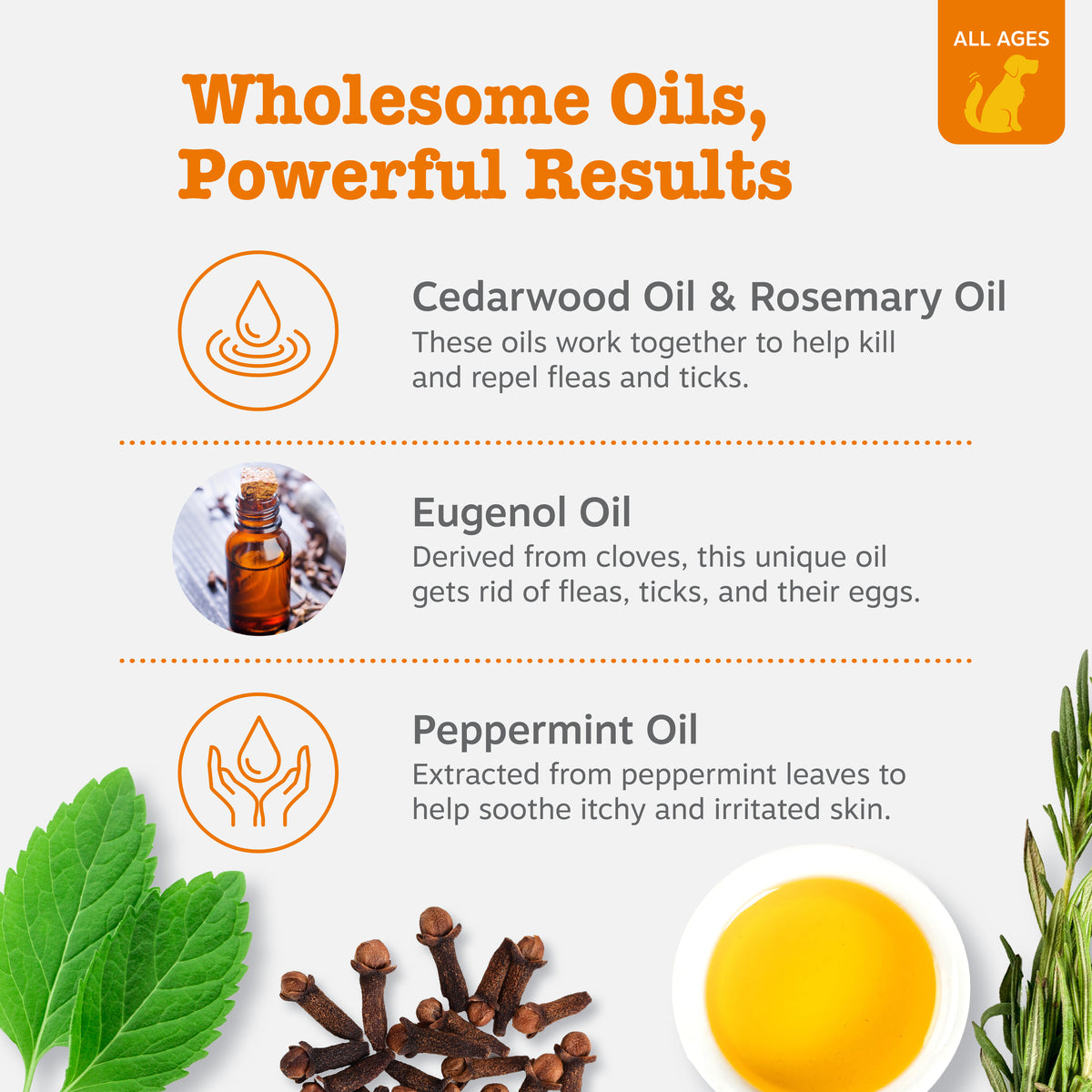 Flea & Tick Spray for Dogs