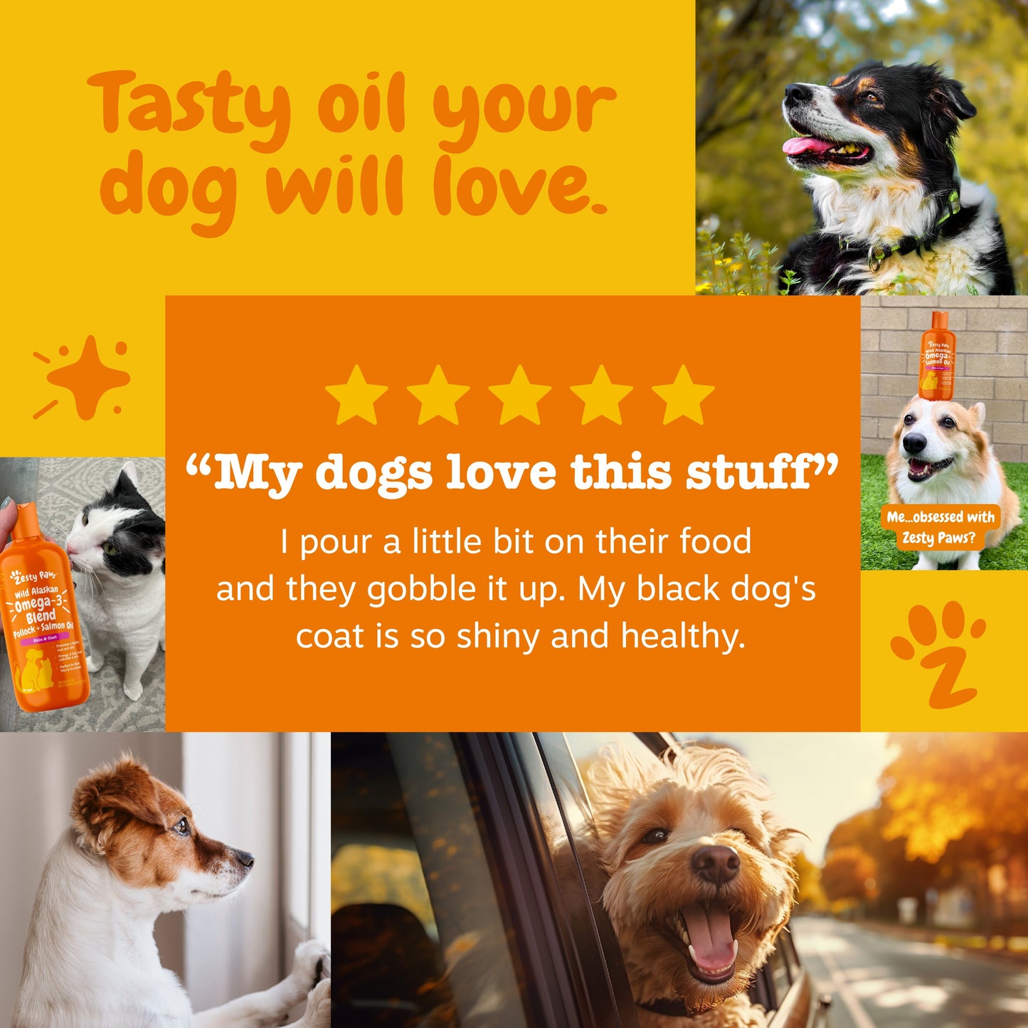 Wild Alaskan Omega-3 Blend Salmon Oil for Dogs & Cats