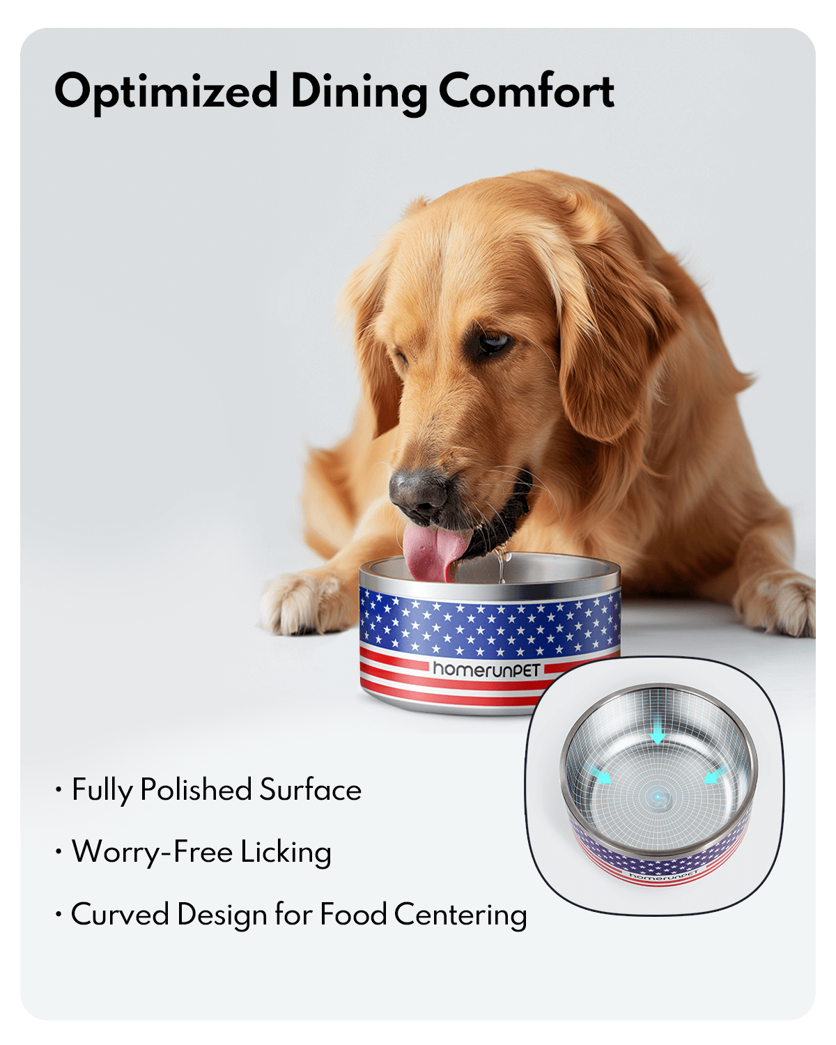 HomerunPET Dog Food Water Insulated Stainless Steel Bowl
