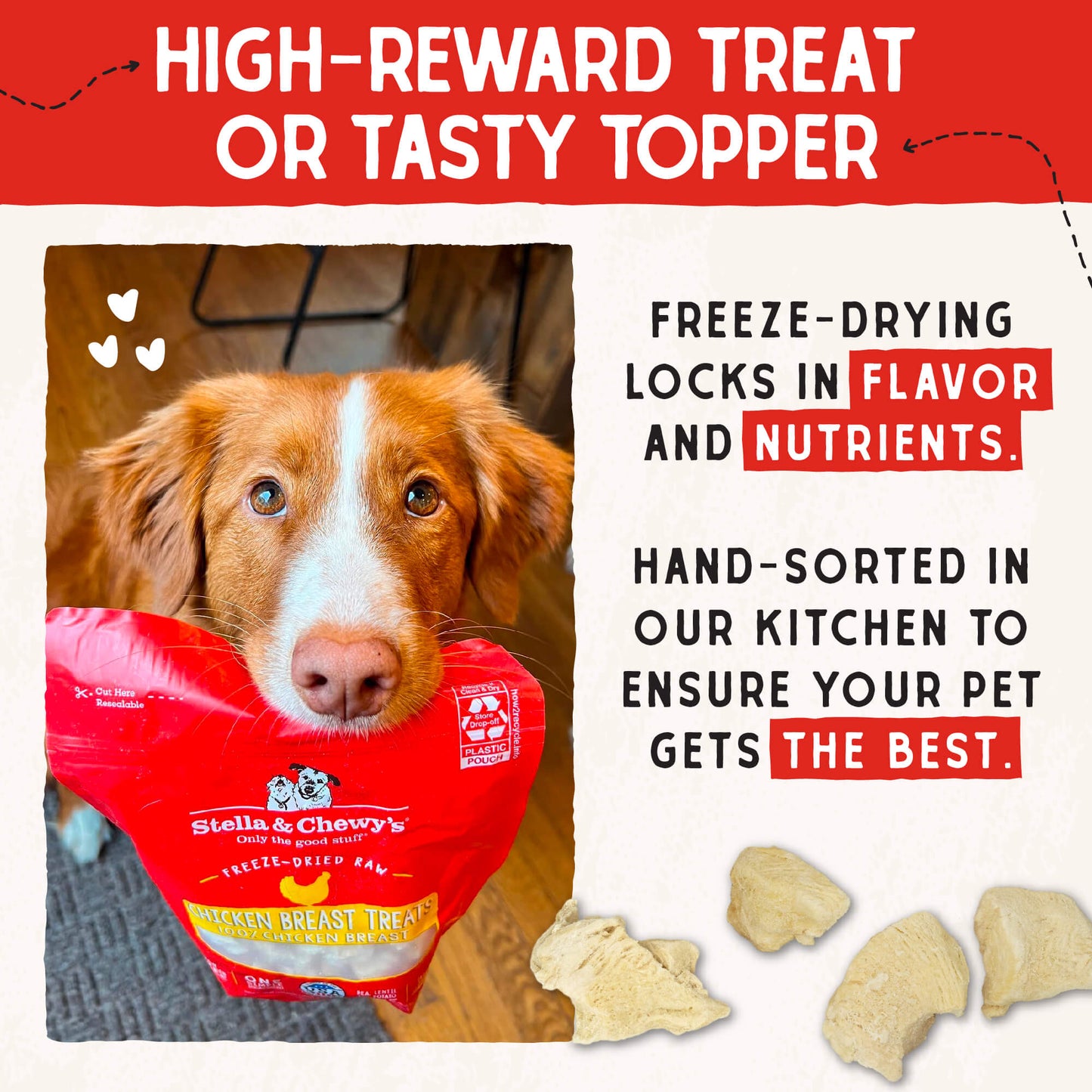 Chicken Breast Treats