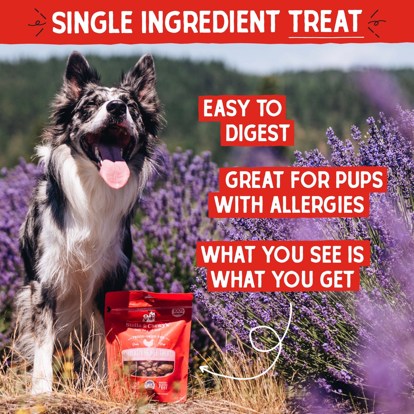 Chicken Heart Treats