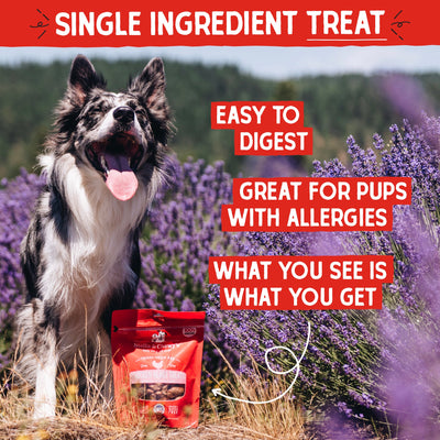 Chicken Heart Treats