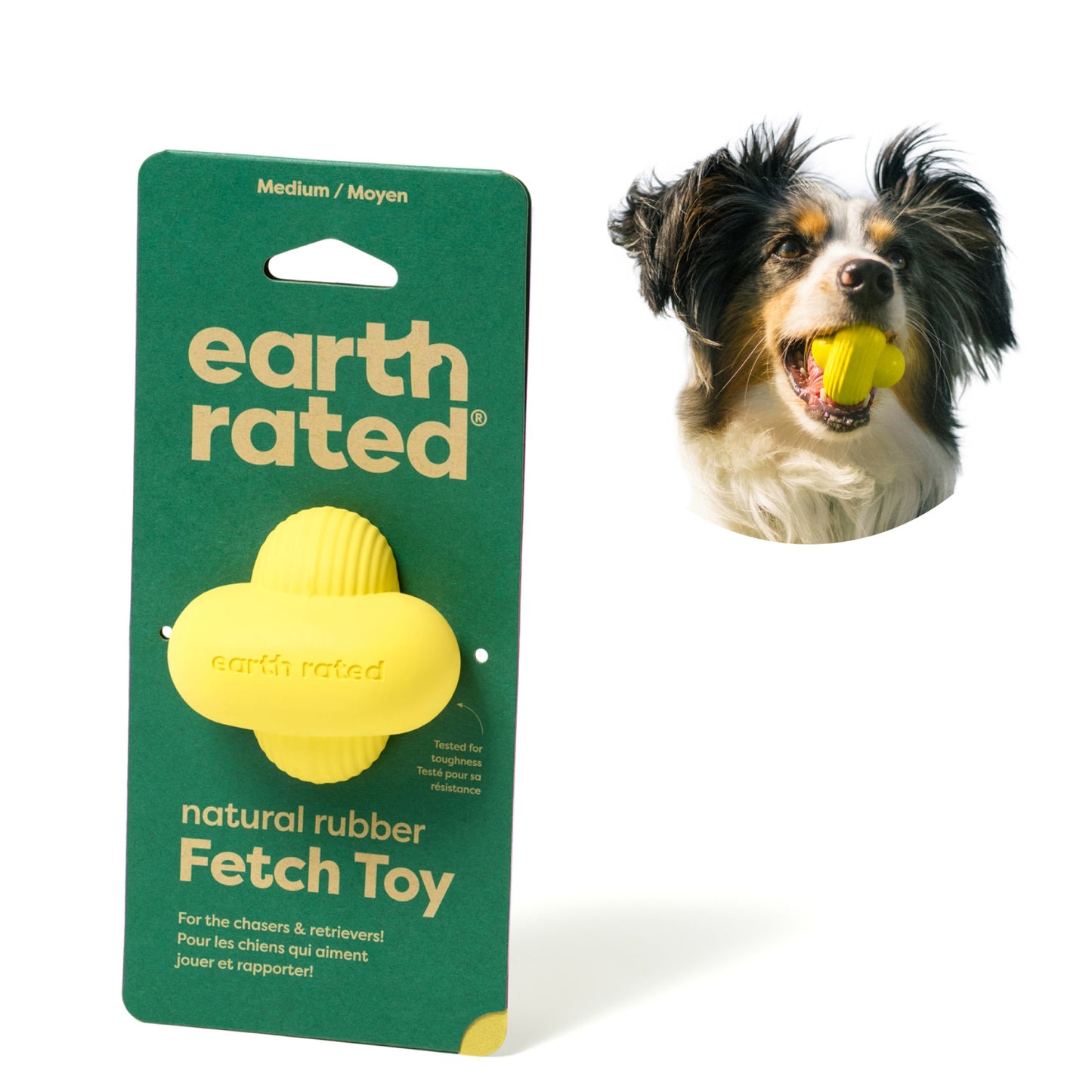 Fetch Toy