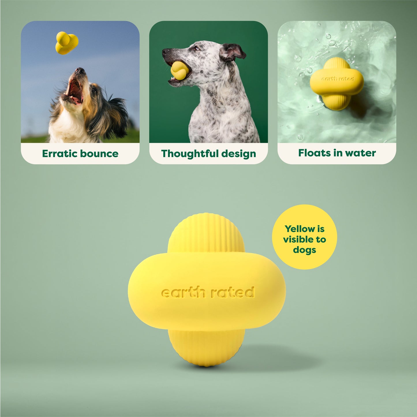 Fetch Toy