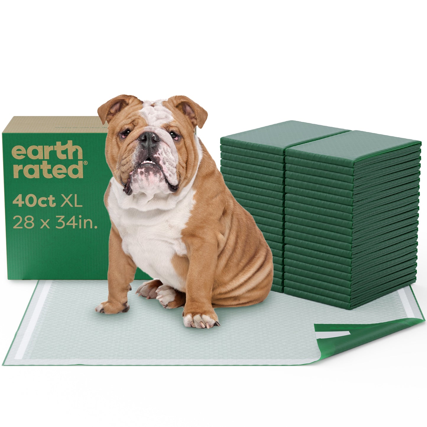 Maximum Absorbency Pee Pads