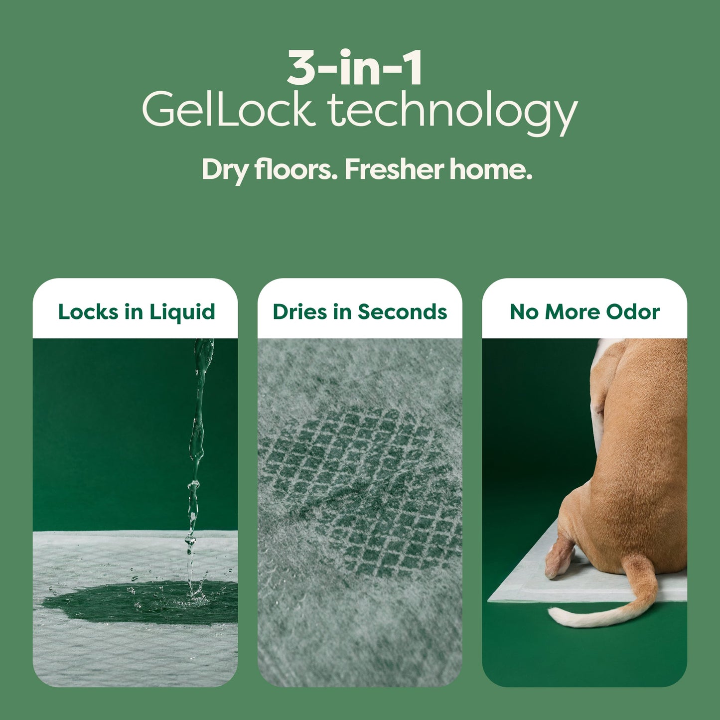 Maximum Absorbency Pee Pads