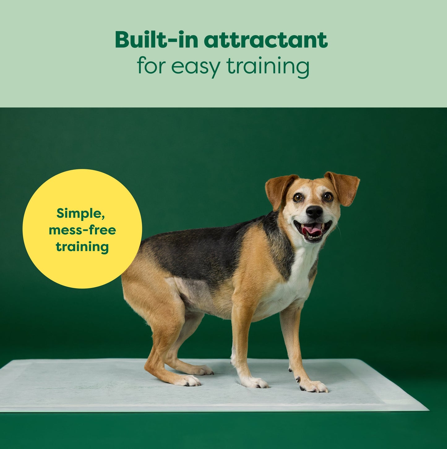 Maximum Absorbency Pee Pads