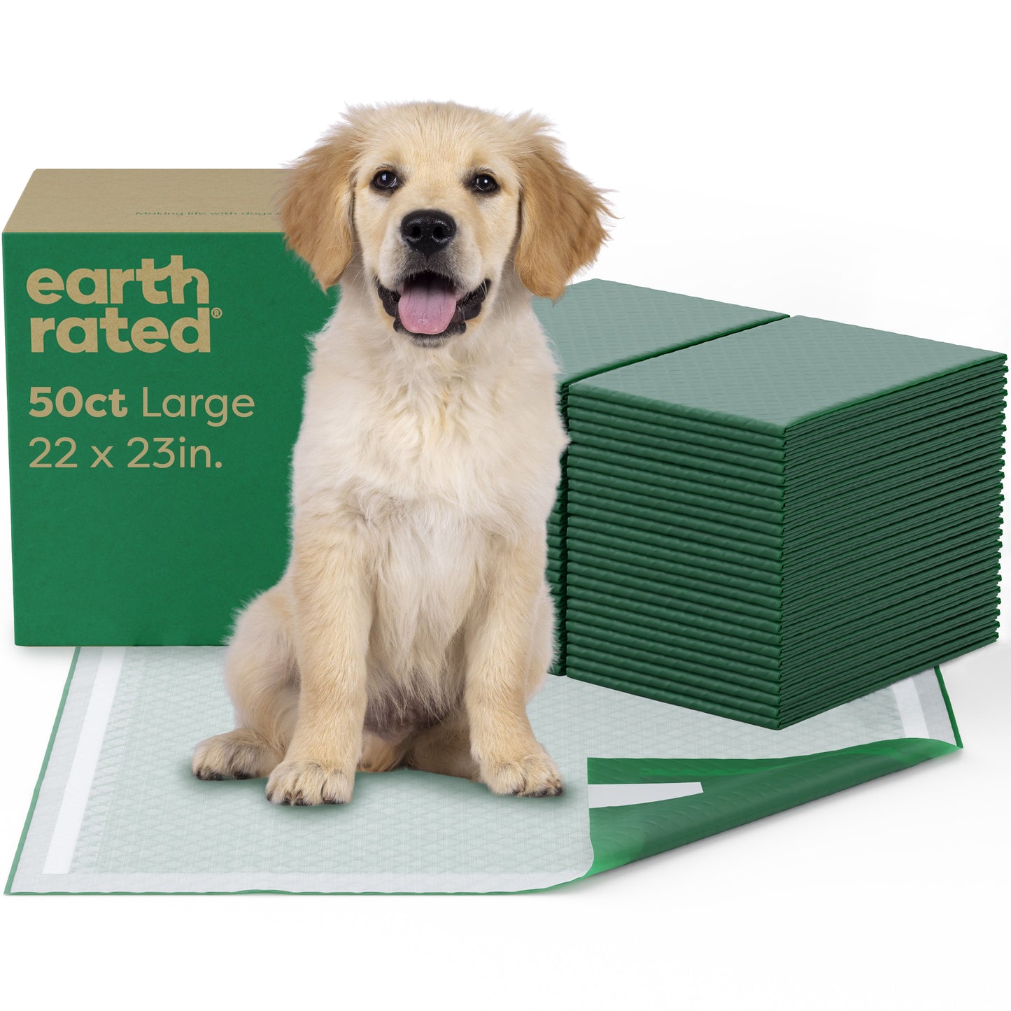 Maximum Absorbency Pee Pads