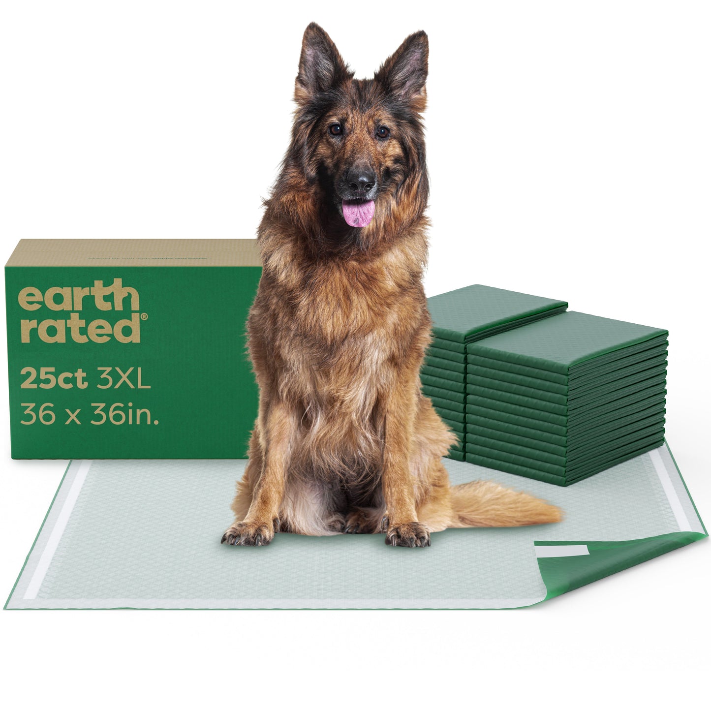 Maximum Absorbency Pee Pads