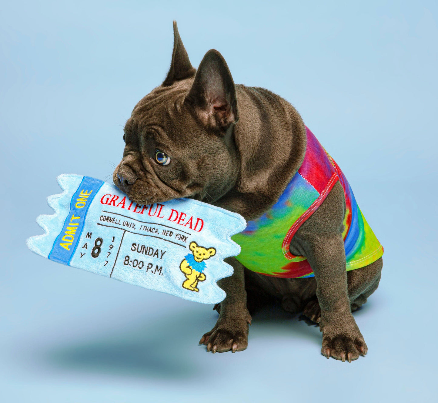 Grateful Dead® Cornell 77' Concert Ticket