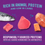 Carnivore Cravings Salmon, Tuna & Mackerel Recipe