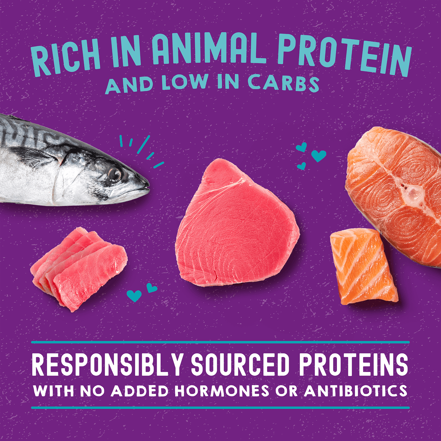 Carnivore Cravings Salmon, Tuna & Mackerel Recipe