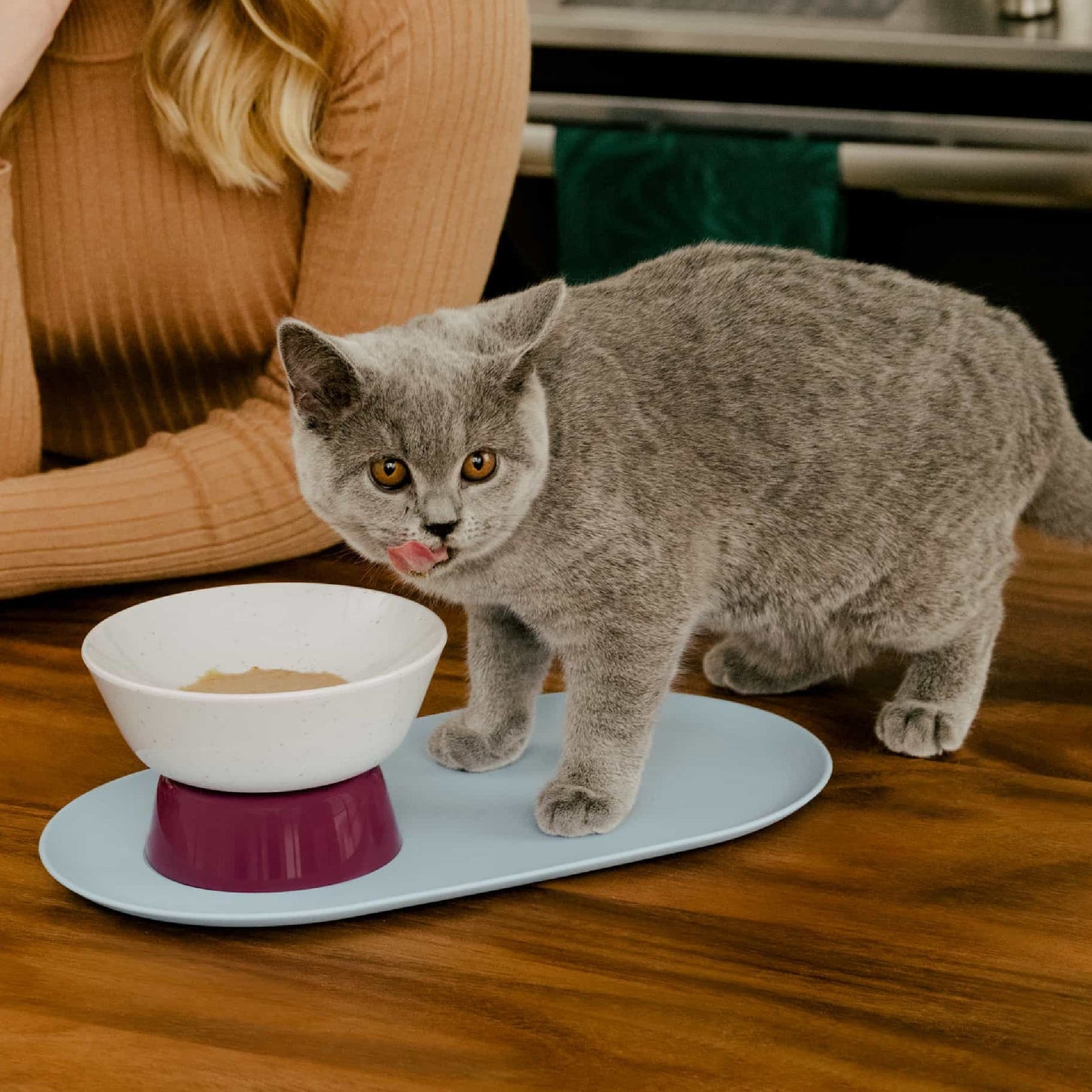 Mesa Pet Bowl