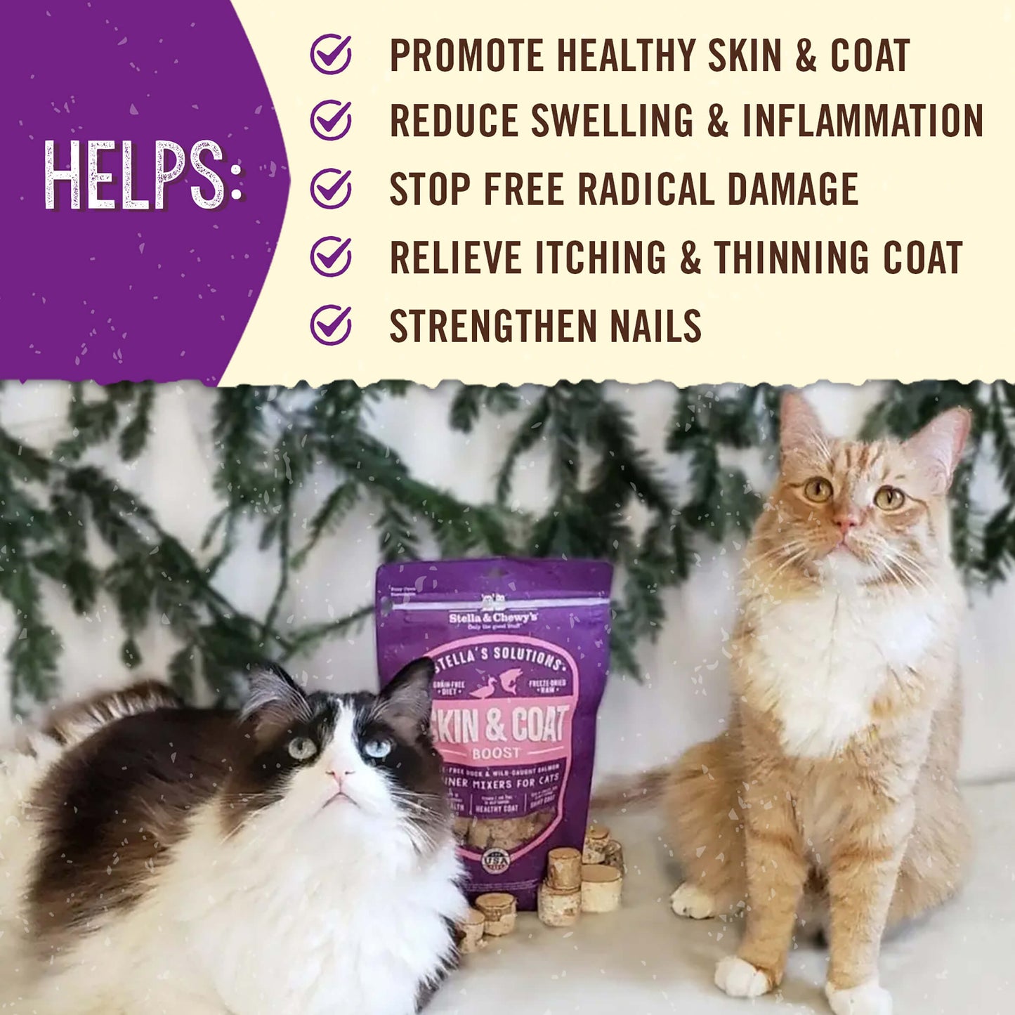 Stella’s Solutions Skin & Coat Support