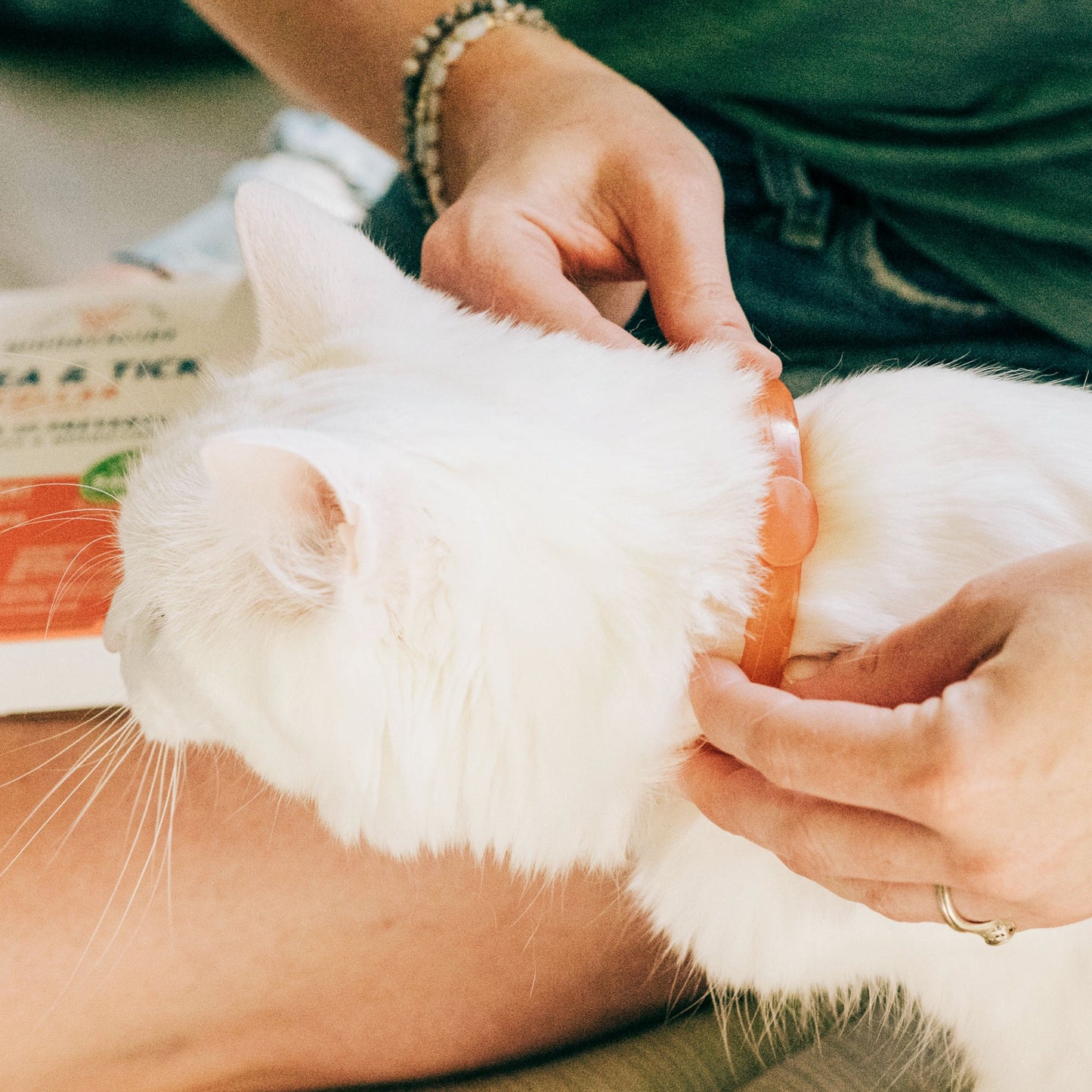 Wondercide Flea & Tick Collar for Dogs + Cats with Natural Essential Oils