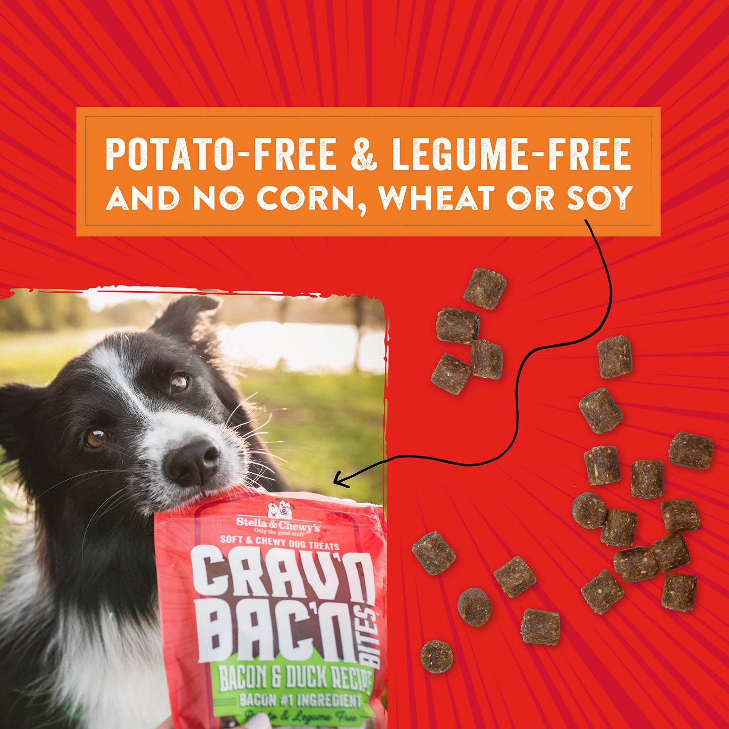 Crav’n Bac’n Bites Bacon & Beef Recipe Promo