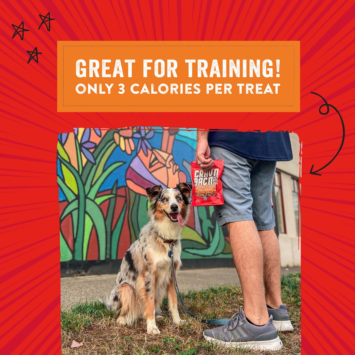 Crav’n Bac’n Bites Bacon & Beef Recipe Promo