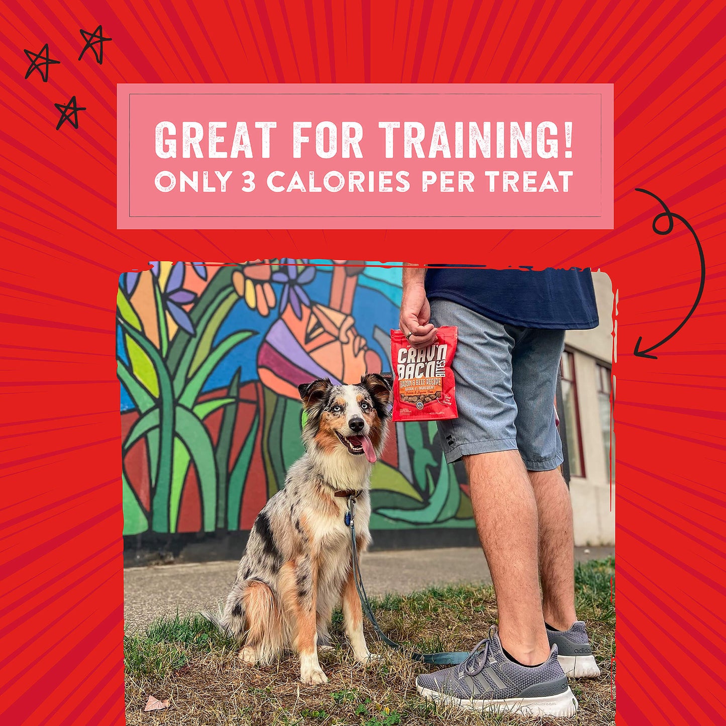 Crav’n Bac’n Bites Bacon & Pork Recipe