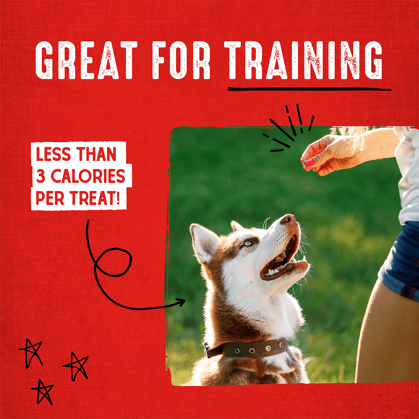 Beef Carnivore Crunch