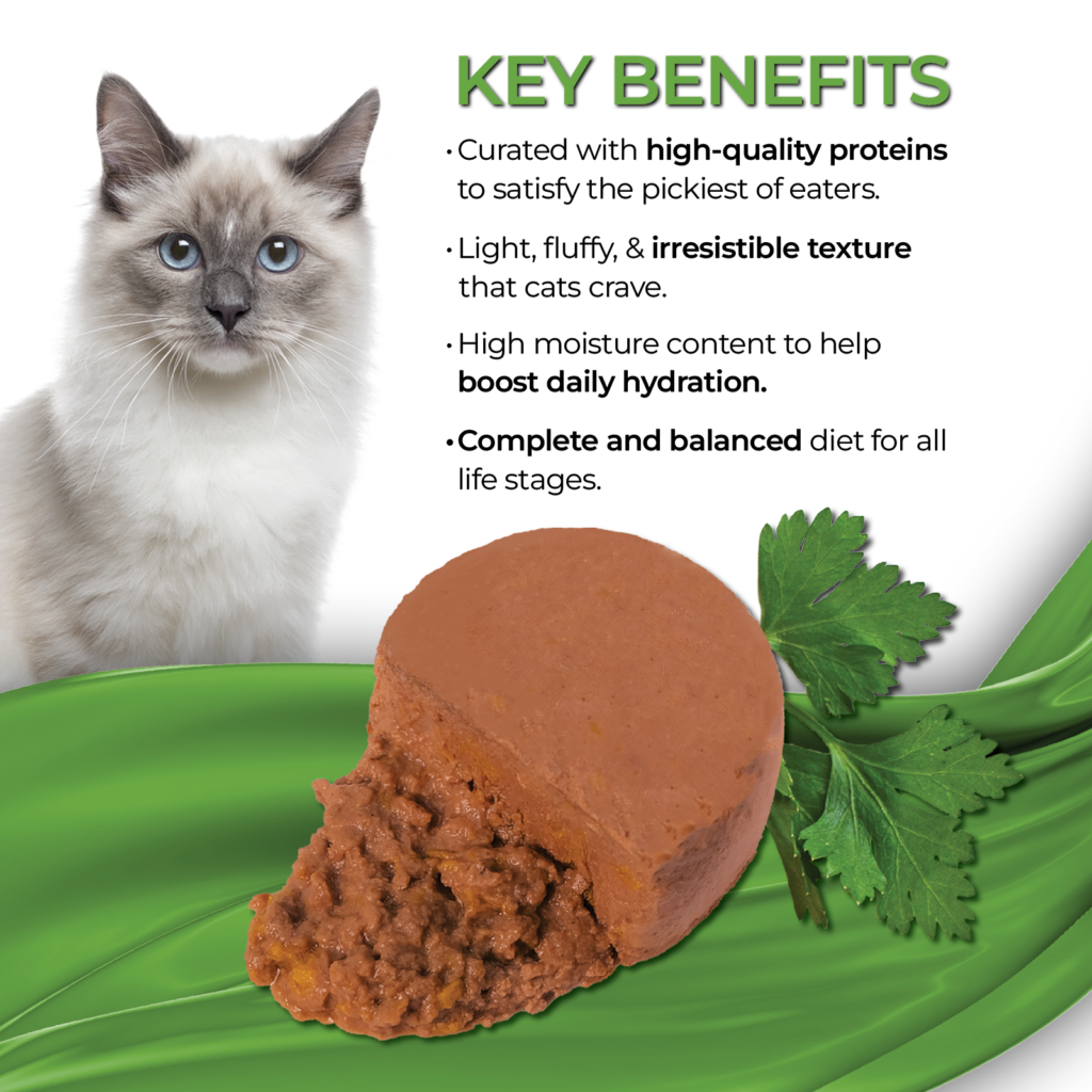 Fussie Cat Fine Dining Mousse Chicken With Pumpkin Entree In Gravy 2.47-oz, Wet Cat Food, Case Of 24