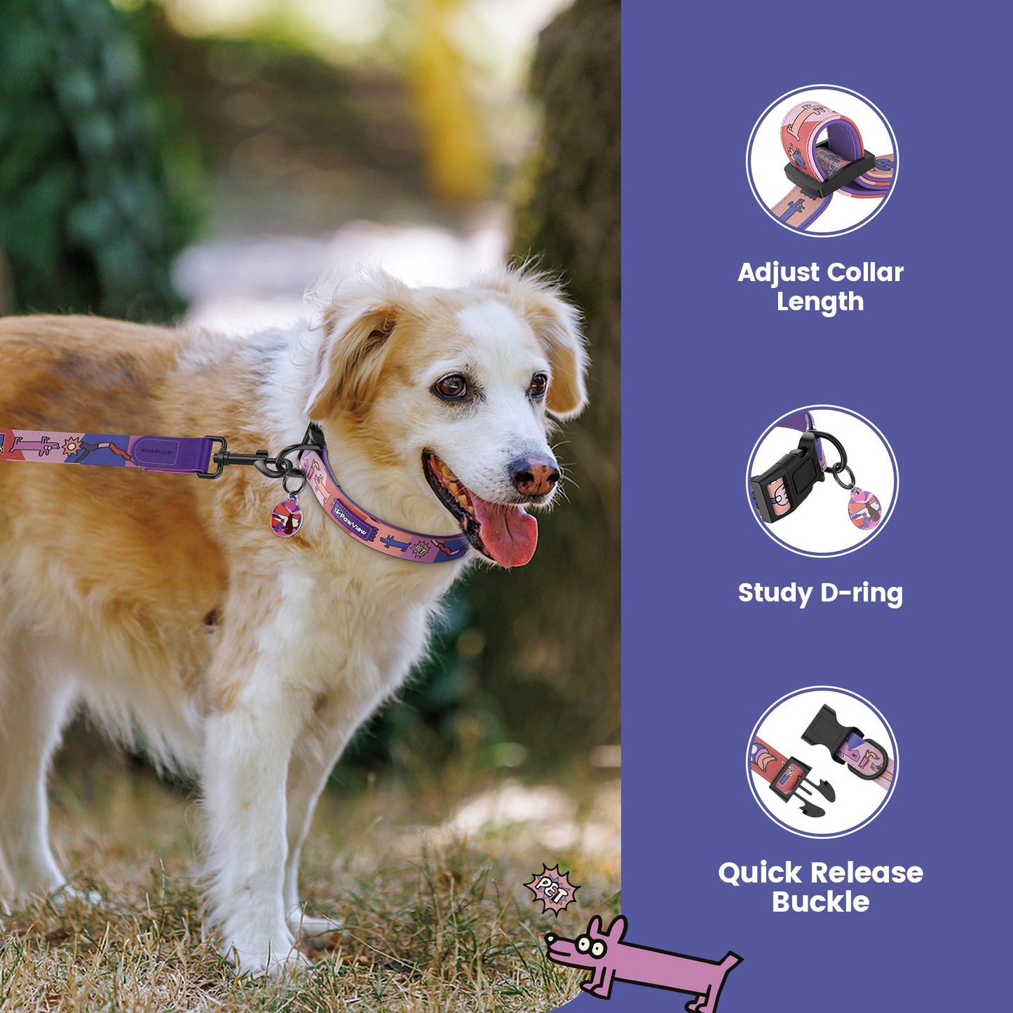 PawView Time Series Dog Collar with QR ID Tag – Sunset Design
