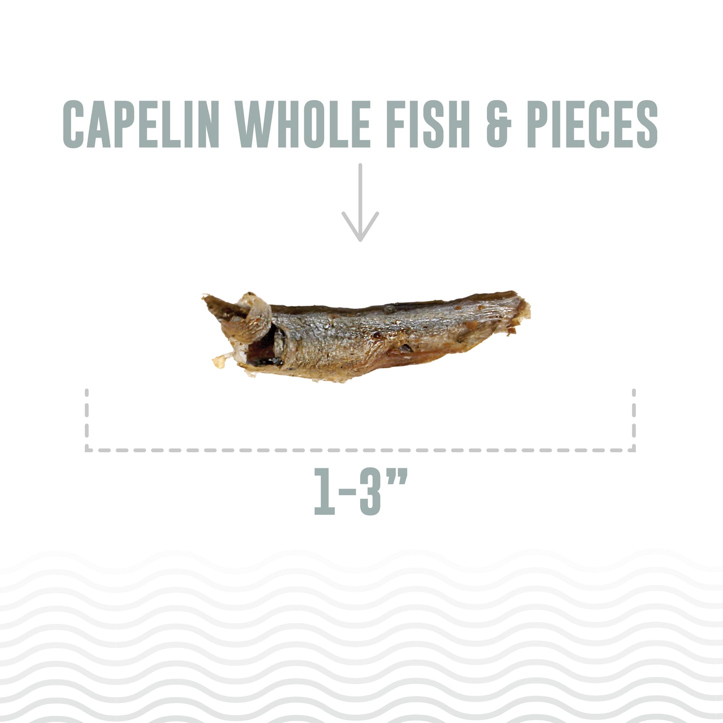 Capelin Whole Fish & Pieces Cat Treats