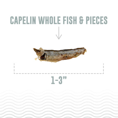 Capelin Whole Fish & Pieces Cat Treats
