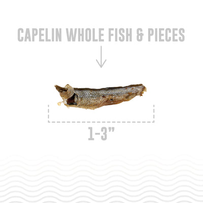 Capelin Whole Fish & Pieces Dog Treats