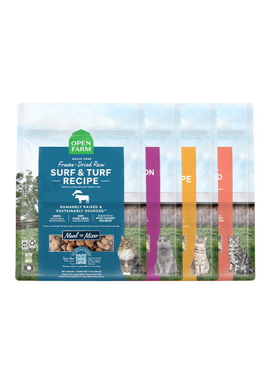Open Farm Freeze Dried Raw Variety Pack for Cats