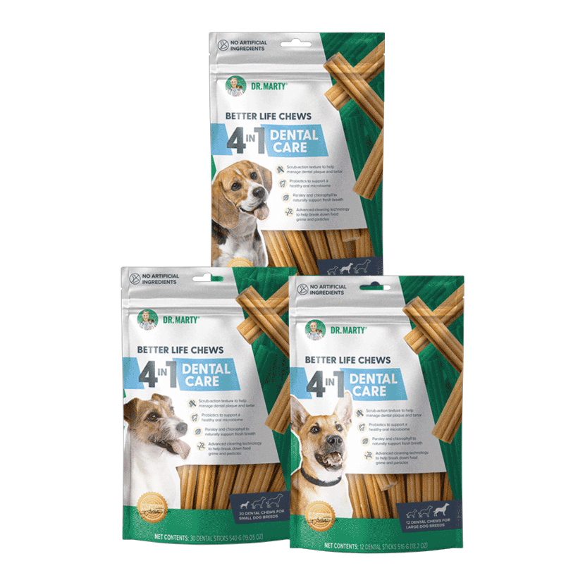 DR. MARTY Better Life Chews 4-in-1 Dental Care Dog Treats