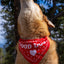 Redbarn Good Dog Bandana