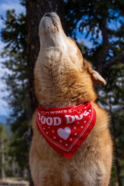 Redbarn Good Dog Bandana