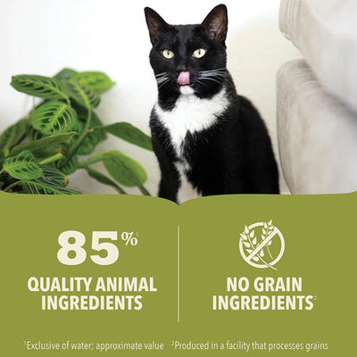 ACANA Premium Pate Chicken & Fish Recipe Canned Cat Food