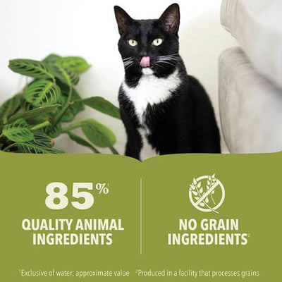ACANA Premium Pate Lamb & Lamb Liver Recipe Canned Cat Food