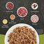 ACANA Premium Pate Lamb & Lamb Liver Recipe Canned Cat Food