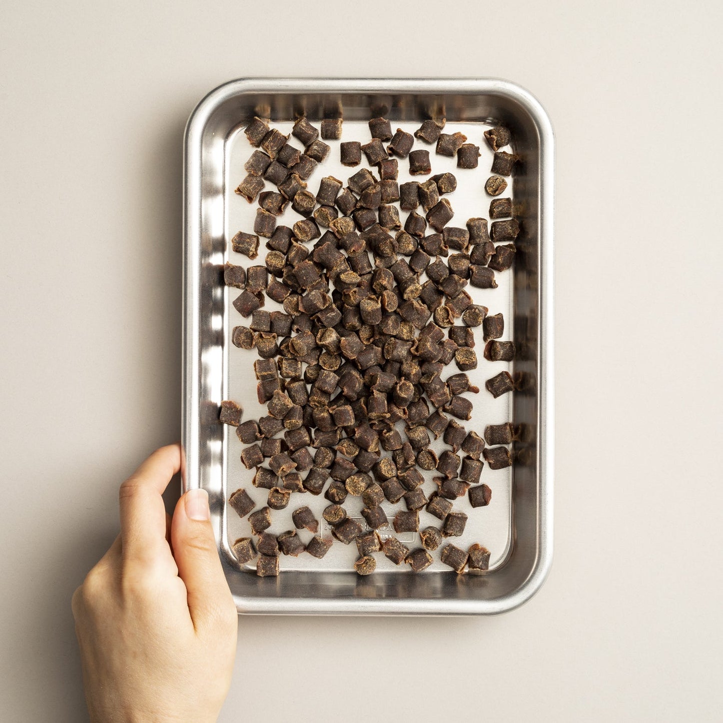 Polkadog salmon says Training tubes