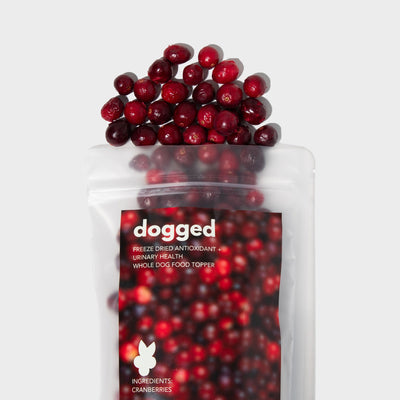 freeze dried cranberries topper (limited edition)