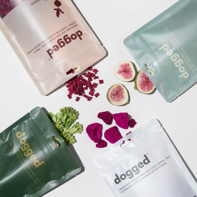 superfood topper bundle