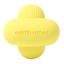 Fetch Toy