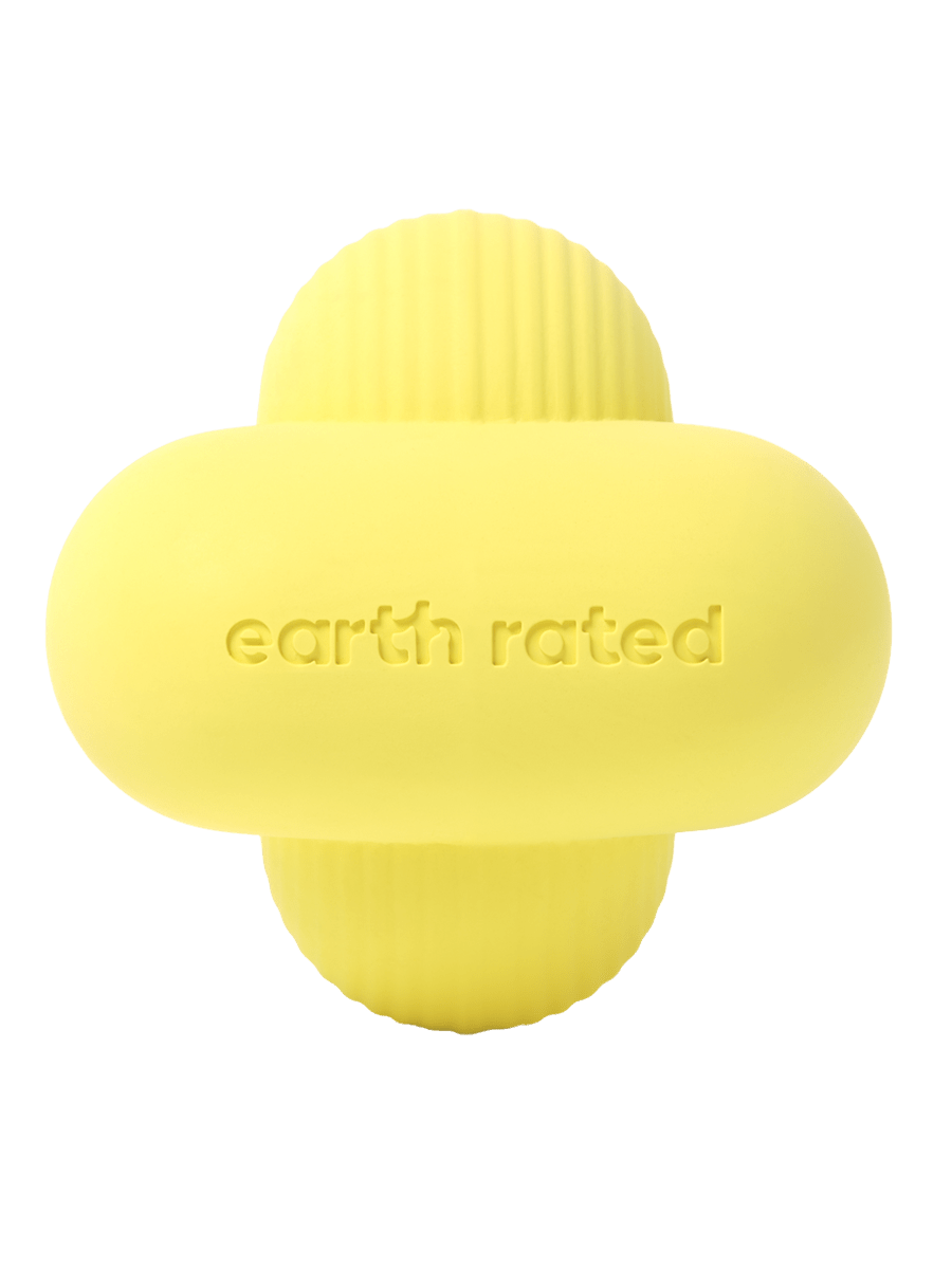 Fetch Toy