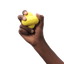 Fetch Toy